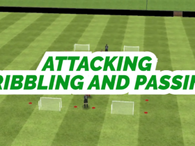 dribbling and passing practice